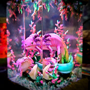 Cute Axolotl Epoxy Resin Lamp – Underwater Aquarium Diorama Night Light
